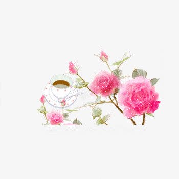 紫色玫瑰花png免抠素材_新图网 https://ixintu.com 咖啡 杯子 玫瑰花 粉色花朵 花朵