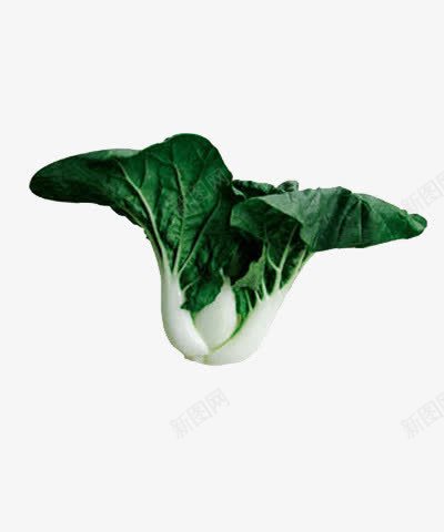 一个新鲜的中脚奶白菜png免抠素材_新图网 https://ixintu.com 健康 绿色食品 美味 营养