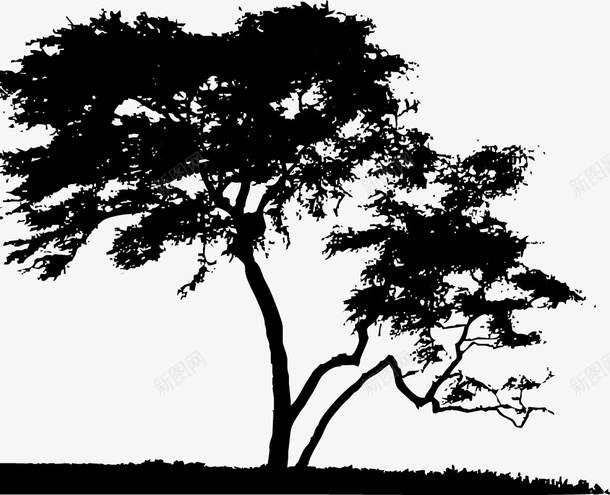 手绘大树图标png_新图网 https://ixintu.com PNG图形 PNG装饰 大树 手绘 装饰 黑色