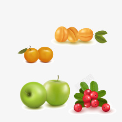 4种新鲜逼真水果素材