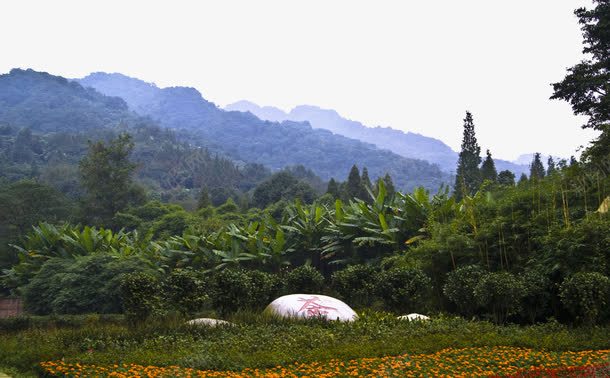 青城山美景摄影png免抠素材_新图网 https://ixintu.com 发源地 四川 国内旅游 摄影 旅游摄影 道教 都江堰市 青城山 青城山摄影