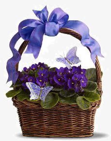 紫色的花篮素材