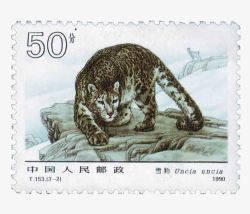 五十分雪豹图案邮票素材