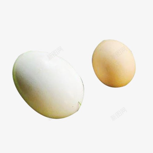 大鹅蛋小鸡蛋png免抠素材_新图网 https://ixintu.com 大鹅蛋 椭圆形 白色蛋 鸡蛋 鹅蛋