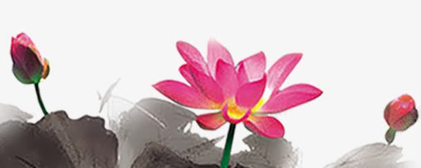 花png免抠素材_新图网 https://ixintu.com 姘村 水墨 花 花苞 鑺 鑺辫嫗