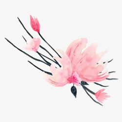 水彩木兰花木兰花高清图片