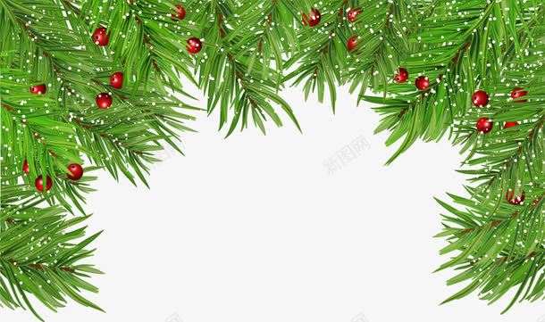 绿色松针png免抠素材_新图网 https://ixintu.com 免扣png 免费png 圣诞松针 松果圣诞节图片 松果圣诞节素材 松针圣诞节图片 红色松果 绿色圣诞节图片 绿色植物