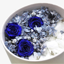蓝色玫瑰花礼盒素材