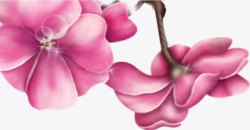 中秋节手绘粉色中秋包装素材