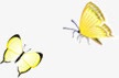 黄色飞碟黄色的蝴蝶高清图片
