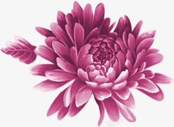 手绘粉色花卉创意插画素材