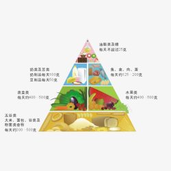 膳食营养金字塔素材