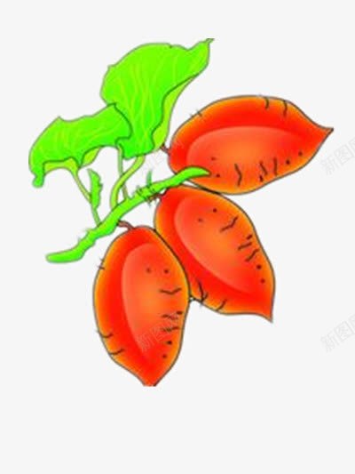 卡通红薯png免抠素材_新图网 https://ixintu.com 农作物 地瓜 红薯叶 食物