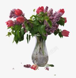 红色哈多鲜花花瓶高清图片