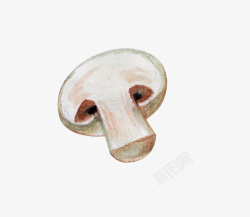 切开的香菇手绘香菇高清图片
