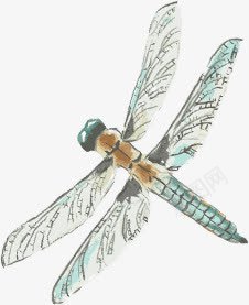 创意合成绿色的蜻蜓png免抠素材_新图网 https://ixintu.com 创意 合成 绿色 蜻蜓
