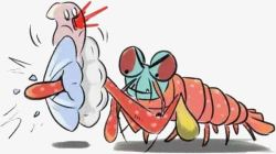 皮皮虾捉扇贝可恶的皮皮虾高清图片