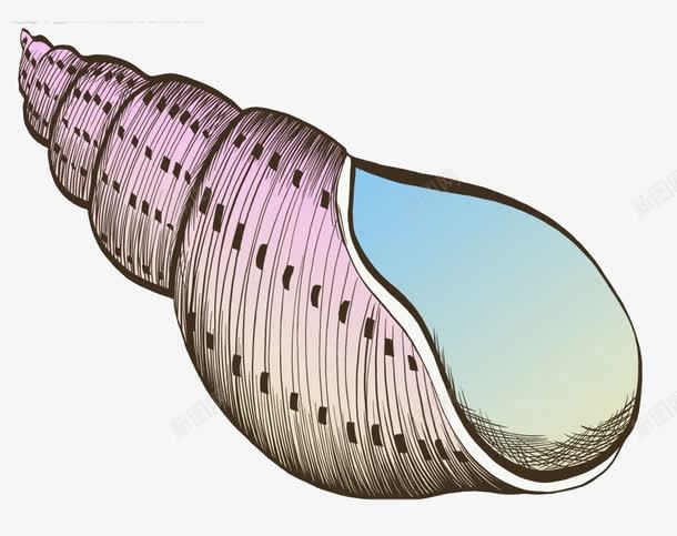 水彩手绘海螺png免抠素材_新图网 https://ixintu.com 手绘 水彩 海螺 素材