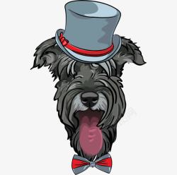 生肖帽子卡通戴帽子的小狗高清图片