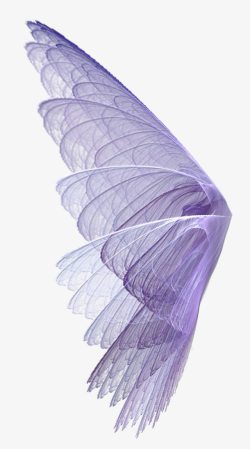 紫色透明蝴蝶素材
