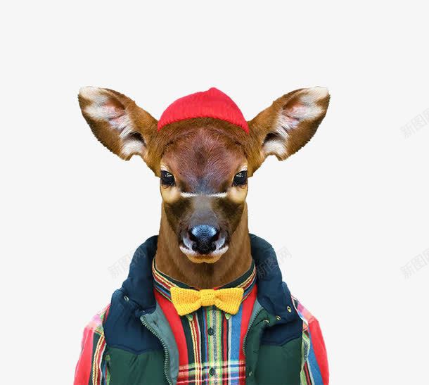 动物鹿png免抠素材_新图网 https://ixintu.com 休闲 后马甲 哺乳动物 红帽子 红衬衫 衣服