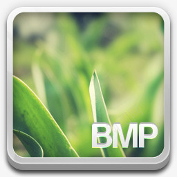 BMP文件ampola图标图标