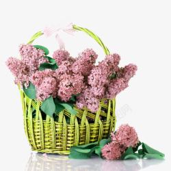 有篮子的小花粉色小花和篮子高清图片