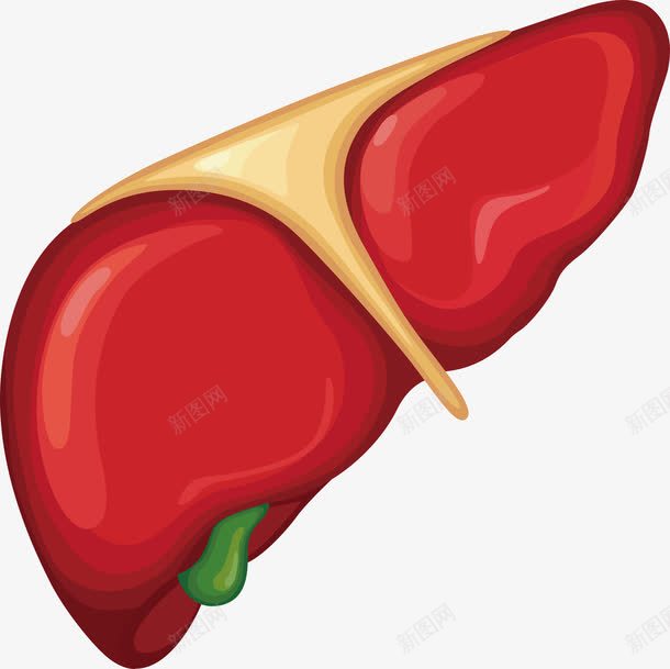 医学肺部png免抠素材_新图网 https://ixintu.com 人体 健康 医学 医学设计 器官 简约 肺部设计