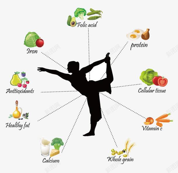 人体健康png免抠素材_新图网 https://ixintu.com 人体健康 海报 矢量素材 膳食 艺术