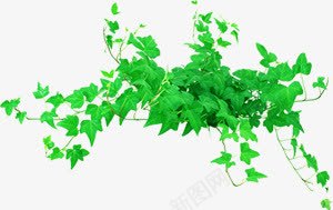 绿色环保绿化植物png免抠素材_新图网 https://ixintu.com 植物 环保 绿化 绿色