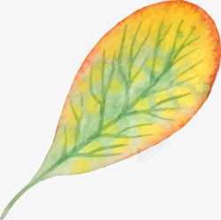 手绘水彩树叶叶子素材
