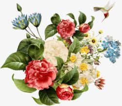 植物卡通服装海报花朵素材