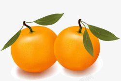 姗椤瓙橘子矢量图高清图片