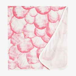 刺激粉色Sapling粉色玫瑰花瓣双面抱毯高清图片