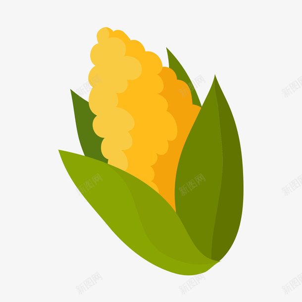 黄绿色的玉米矢量图ai免抠素材_新图网 https://ixintu.com 日常 日常食物 玉米 绿色 食物 黄色 黄色玉米 矢量图