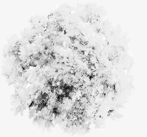 冬季树木白色公园png免抠素材_新图网 https://ixintu.com 公园 冬季 树木 白色
