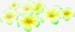 春天黄绿色手绘花朵装饰素材