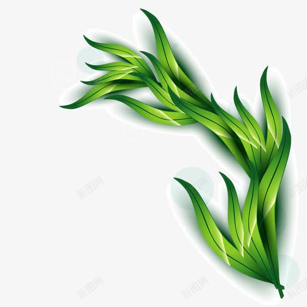绿色水草png免抠素材_新图网 https://ixintu.com 春天 植物 生机盎然 绿色