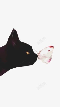 猫和蝴蝶插画素材
