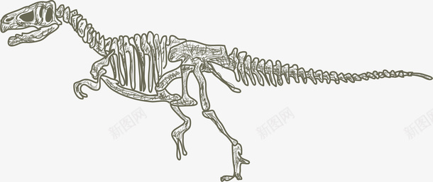 恐龙骨头矢量图ai免抠素材_新图网 https://ixintu.com 侏罗纪恐龙 剪影 大型恐龙 恐龙 恐龙剪影 骨头 矢量图