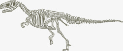 恐龙骨头矢量图素材