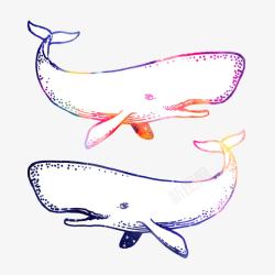 素描彩色鲸鱼素材