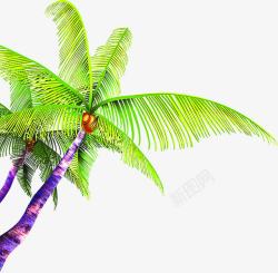 茂盛椰子树茂盛的椰子树高清图片