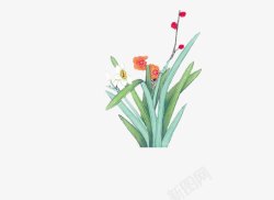 水仙花中国画植物素材