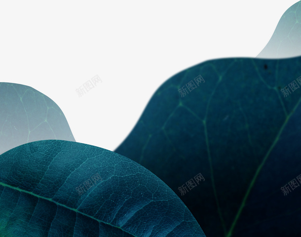蓝绿色渐变植物叶子png免抠素材_新图网 https://ixintu.com 叶子 植物 渐变 素材 蓝绿色
