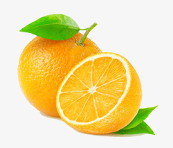 橙子摄影素材