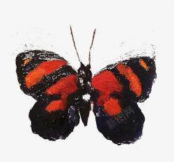 红黑色的蝴蝶图案素材