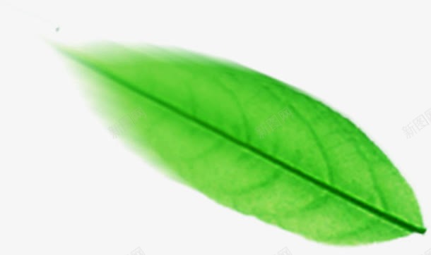 飞扬绿色植物卡通叶子png免抠素材_新图网 https://ixintu.com 卡通 叶子 绿色植物 飞扬