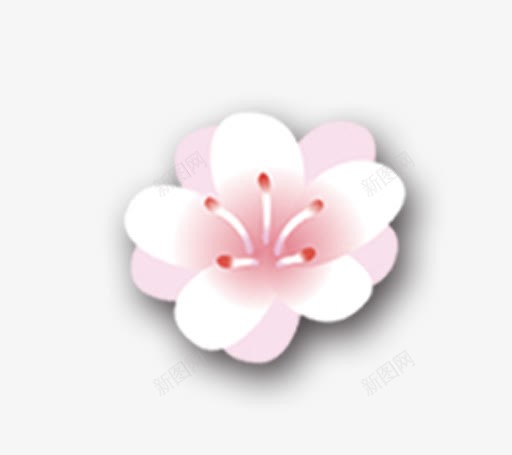 白色小花png免抠素材_新图网 https://ixintu.com 中国风 白花 花朵