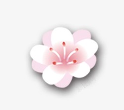 白色小花素材